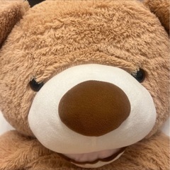 コストコ　熊のぬいぐるみ🐻　BIG size　　の画像