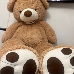 コストコ　熊のぬいぐるみ🐻　BIG size　　の画像