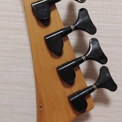 Fernandes Bassの画像