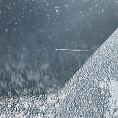 ✅三菱ノンフロン冷凍冷蔵庫 ✅MR-P15Z-Bの画像