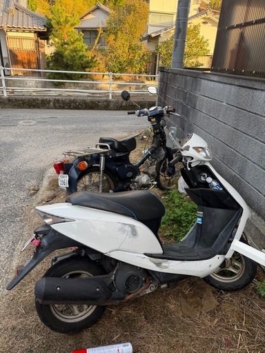 HONDAカブ⭐︎HONDA DIO