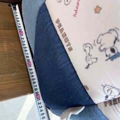 ペットパラダイス ペットハウス カドラーベッド スヌーピー　の画像