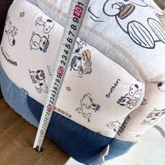 ペットパラダイス ペットハウス カドラーベッド スヌーピー　の画像