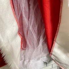 ❤️サンタ🎅🏻コスプレの画像