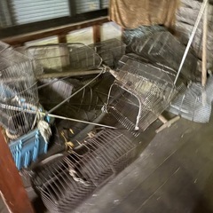 漁業用具色々（アサリ漁？）の画像