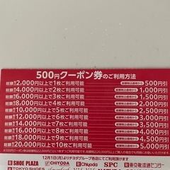 シュープラザ　チヨダグループ割引券の画像