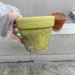 植木鉢　小　3点セット　素焼き　観葉植物の画像