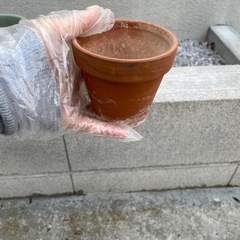 植木鉢　小　3点セット　素焼き　観葉植物の画像