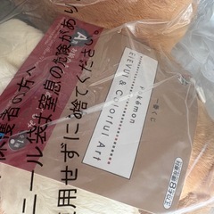 ポケモン 一番くじ イーブイ ぬいぐるみの画像