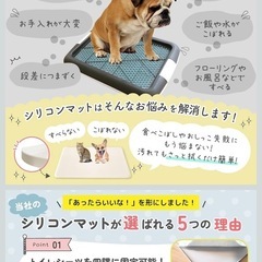 ★新品★ 小型犬　犬　おしっこ
トレー　ゲージの画像