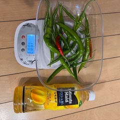 激辛唐辛子🌶️を激安売り(無農薬、無化学肥料)の画像