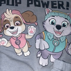 パウパトロール✴︎セットの画像