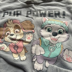 パウパトロール✴︎セットの画像