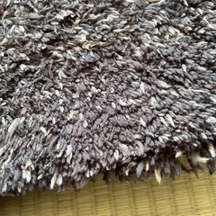 LOWYA シャギーラグの画像