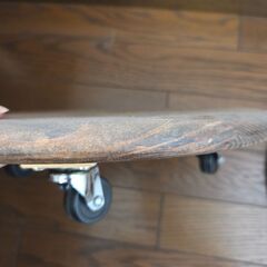 観葉植物　エバーフレッシュの画像