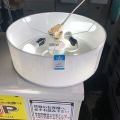 ジャングル×2和泉大型良品館 ニトリ シーリングライト【R351】の画像