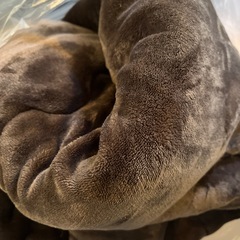 こたつテーブルの画像