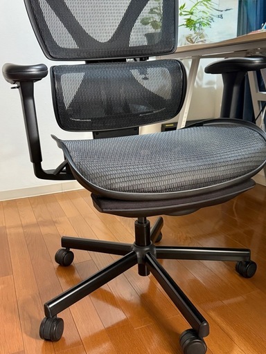 割引 COFO chair pro