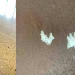 I1★KOSUGA★New Englandシリーズ センターテーブル ラウンド 木製 W85cm 天板ガラス取り外し可 シンプルの画像