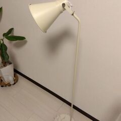 aina 北欧 テイスト フロアスタンドライト照明の画像
