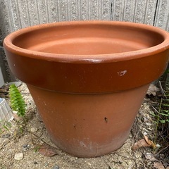 植木鉢の画像