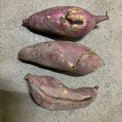 サツマイモ(B級 傷あり)の画像