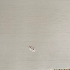 正方形こたつの画像