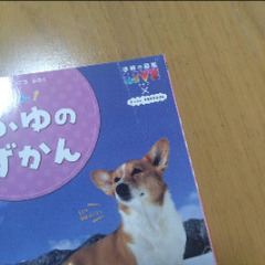 なつ・あき・ふゆのずかん 3冊セット　学研の画像