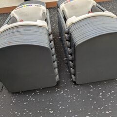 パワーブロック？可変式ダンベル41kgペアの画像