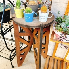 多肉植物とガーデニングラックの画像