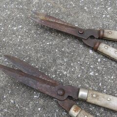 【手渡し】刈込ばさみの画像