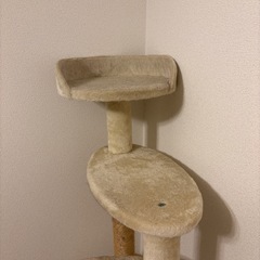 キャットタワーの画像
