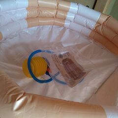 ダイソー子供用プールの画像