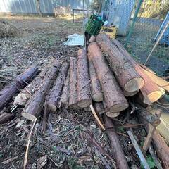 【早い方優先、残り1/3】伐採した木の幹と枯草　薪ストーブ、キャンプで使用するのはいかかですか？の画像