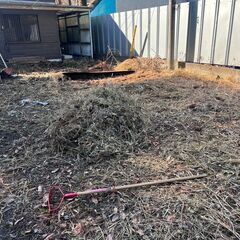 【早い方優先、残り1/3】伐採した木の幹と枯草　薪ストーブ、キャンプで使用するのはいかかですか？の画像