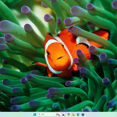 2022年発売モデル【一宮でWindows11搭載機！デスクトップPC　クアッドコアCPU HP ProDesk 400G7 SFF】一宮市にパソコンMr.Carnival（ミスカニ）です！PC修理・販売【PayPay&各種クレジット使えます！】受け渡しは店舗にて(^^)/【デスクトップパソコン intel Core i7 10100/DDR4 RAM8GB/NVMe M.2 SSD256GB】H21の画像