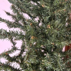 大型クリスマスツリー180㎝イルミネーション付きの画像