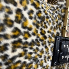 grassroots G-VP-38G エレキギター の画像