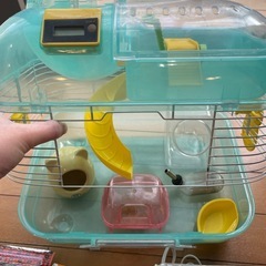 ハムスター飼育セットの画像