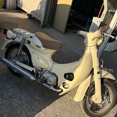 リトルカブの画像