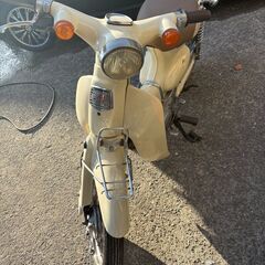 リトルカブの画像