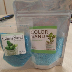 URBAN GREEN MAKERS テラリウム キットの画像