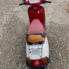 昭和59年 ホンダリード50SS レストアベース 6,370km 旧車の画像