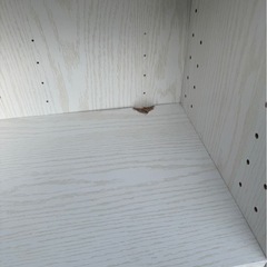 棚6段カラーボックスの画像