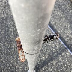 【売切御免！】1016 鳥取県発 三脚 はしご [ 8段 2.55ｍ ] 現状販売 広島 岡山 島根 兵庫 あぐり家鳥取中央店の画像