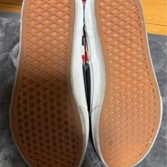 バンズスニーカー★23.0の画像