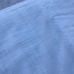 ディズニーお昼寝マットの画像