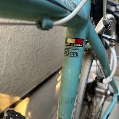 ビアンキニローネ7の画像