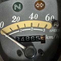 リトルカブの画像