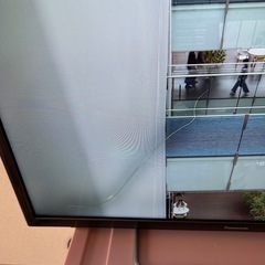 テレビの画像